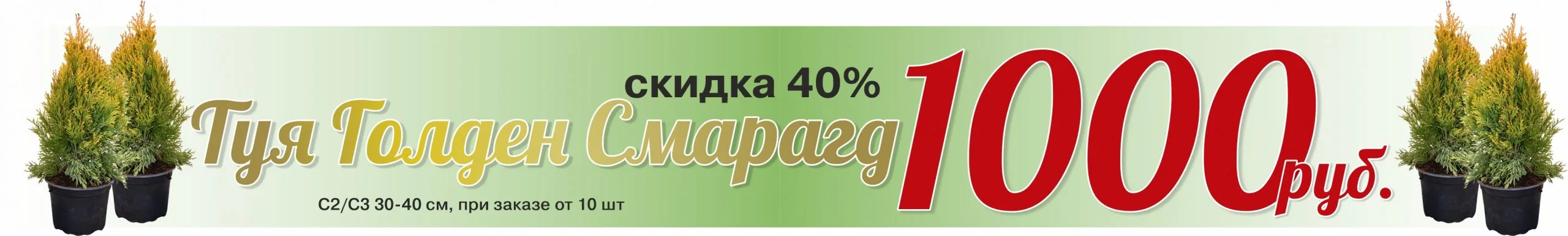  • ХВОЯ24