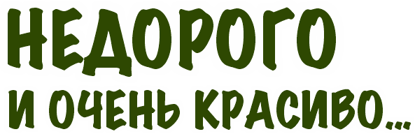  • ХВОЯ24