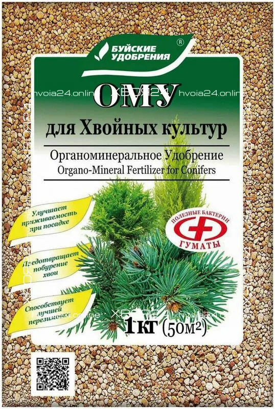  • ХВОЯ24