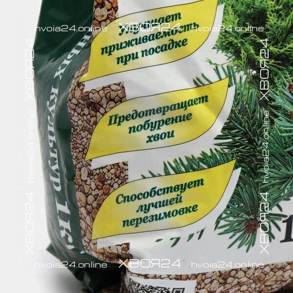  • ХВОЯ24