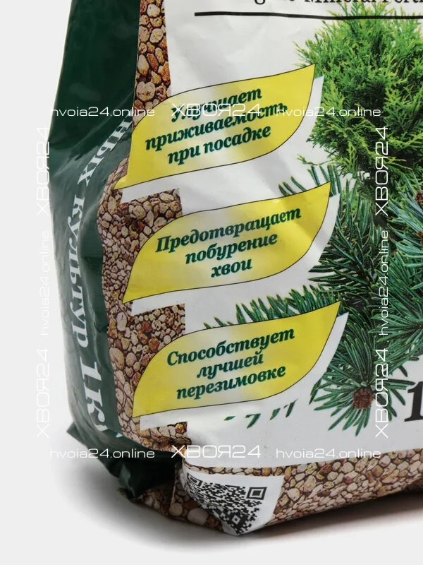  • ХВОЯ24