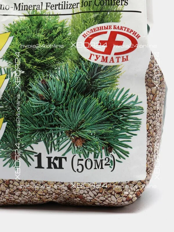  • ХВОЯ24