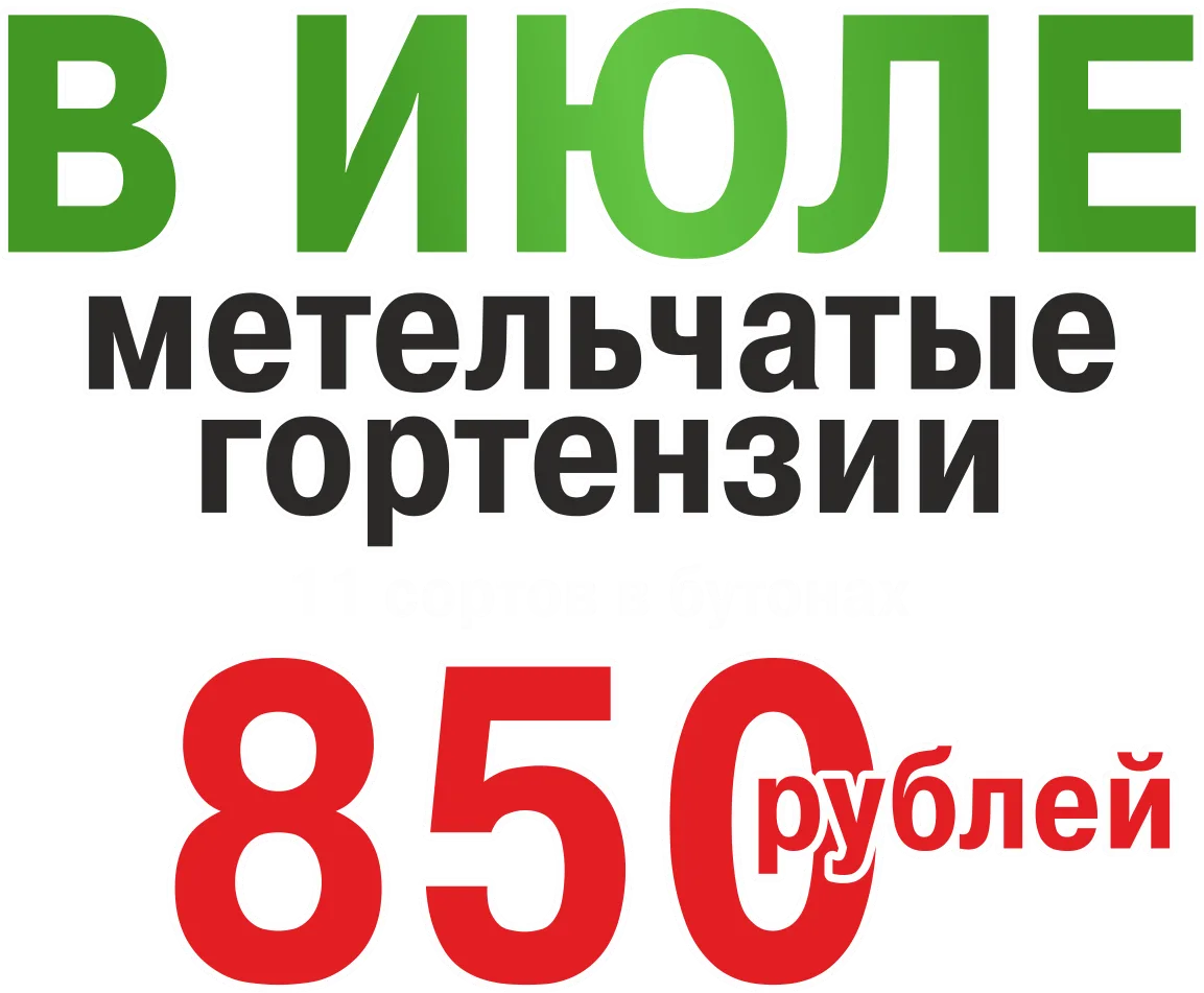  • ХВОЯ24