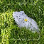 Серая бетонная фигура лягушки лежит в высокой зелёной траве, рядом виден жёлтый одуванчик и полевые растения.